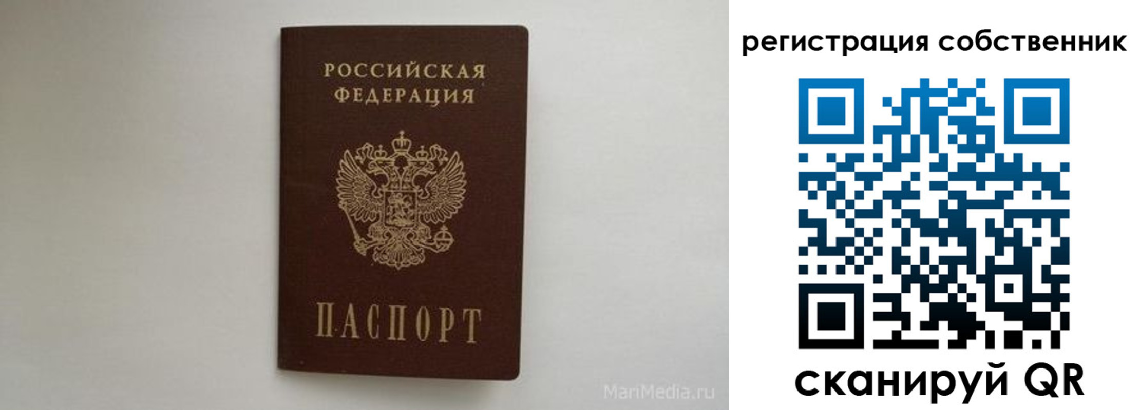 прописка паспорт в Щиграх